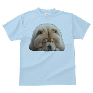 `E`E TVc fB[X t@  t  vg JWA 킢 lԗp h ̃fUC ʔ ӂӂ `E`E 킢  ʂ