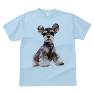 ~j`AViEU[ TVc fB[X t@  t  vg JWA 킢 lԗp h ̃fUC ʔ  ~j`AViEU[ 