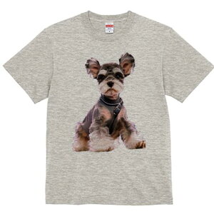 ~j`AViEU[ TVc fB[X t@  t  vg JWA 킢 lԗp h ̃fUC ʔ  ~j`AViEU[ 