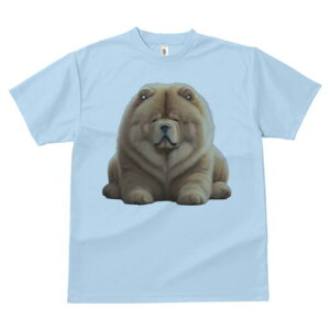 `E`E TVc fB[X t@  t  vg JWA 킢 lԗp h ̃fUC ʔ ӂӂ `E`E 킢  ʂ