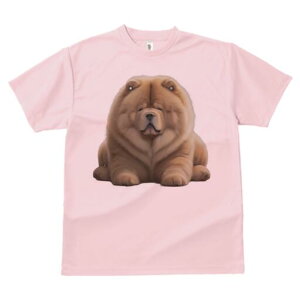 `E`E TVc fB[X t@  t  vg JWA 킢 lԗp h ̃fUC ʔ ӂӂ `E`E 킢  ʂ