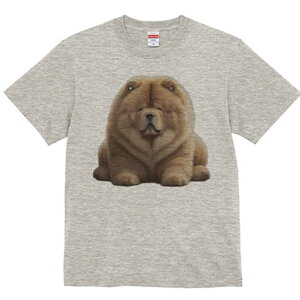 `E`E TVc fB[X t@  t  vg JWA 킢 lԗp h ̃fUC ʔ ӂӂ `E`E 킢  ʂ