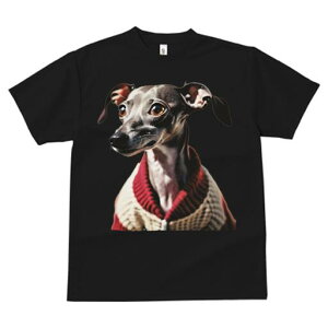 C^AO[nEh TVc fB[X t@  t  vg JWA 킢 lԗp h ̃fUC ʔ Z[^[ C^AO[nEh