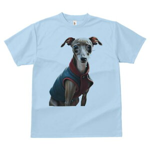 C^AO[nEh TVc fB[X t@  t  vg JWA 킢 lԗp h ̃fUC ʔ  C^AO[nEh WPbg