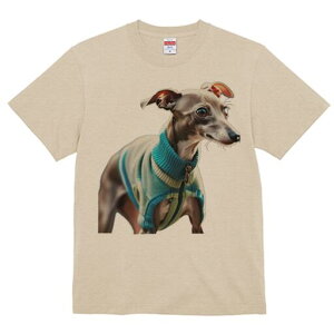 C^AO[nEh TVc fB[X t@  t  vg JWA 킢 lԗp h ̃fUC ʔ hbOEFA C^AO[nEh W