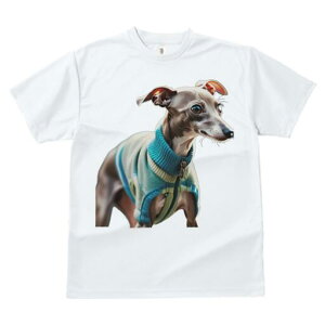 C^AO[nEh TVc fB[X t@  t  vg JWA 킢 lԗp h ̃fUC ʔ hbOEFA C^AO[nEh W