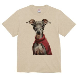 C^AO[nEh TVc fB[X t@  t  vg JWA 킢 lԗp h ̃fUC ʔ Z[^[ C^AO[nEh