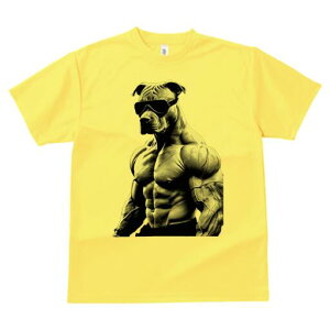 AJsbgueA TVc fB[X t@  t  vg JWA 킢 lԗp h ̃fUC ʔ TOX AJsbgueA 