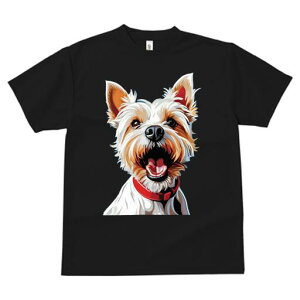 [NV[eA TVc fB[X t@  t  vg JWA 킢 lԗp h ̃fUC ʔ  [NV[eA