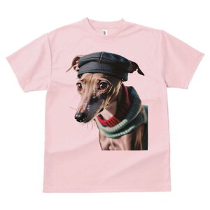 C^AO[nEh TVc fB[X t@  t  vg JWA 킢 lԗp h ̃fUC ʔ Xq C^AO[nEh Z[^[