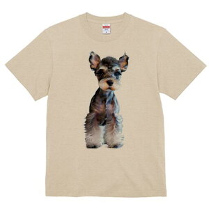 ~j`AViEU[ TVc fB[X t@  t  vg JWA 킢 lԗp h ̃fUC ʔ ~j`AViEU[