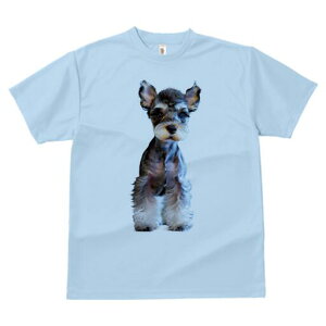 ~j`AViEU[ TVc fB[X t@  t  vg JWA 킢 lԗp h ̃fUC ʔ ~j`AViEU[