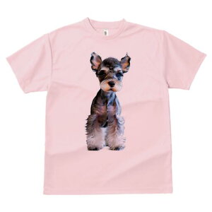 ~j`AViEU[ TVc fB[X t@  t  vg JWA 킢 lԗp h ̃fUC ʔ ~j`AViEU[