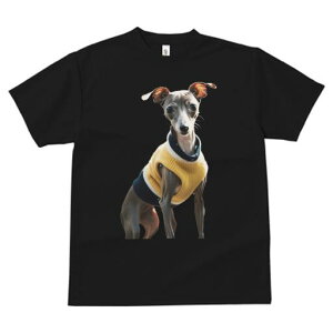 C^AO[nEh TVc fB[X t@  t  vg JWA 킢 lԗp h ̃fUC ʔ Z[^[ C^AO[nEh 