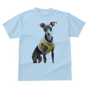 C^AO[nEh TVc fB[X t@  t  vg JWA 킢 lԗp h ̃fUC ʔ Z[^[ C^AO[nEh 