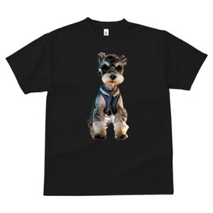 ~j`AViEU[ TVc fB[X t@  t  vg JWA 킢 lԗp h ̃fUC ʔ pn[lX ~j`AViEU[