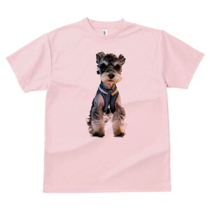 ~j`AViEU[ TVc fB[X t@  t  vg JWA 킢 lԗp h ̃fUC ʔ pn[lX ~j`AViEU[