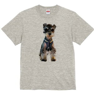 ~j`AViEU[ TVc fB[X t@  t  vg JWA 킢 lԗp h ̃fUC ʔ pn[lX ~j`AViEU[