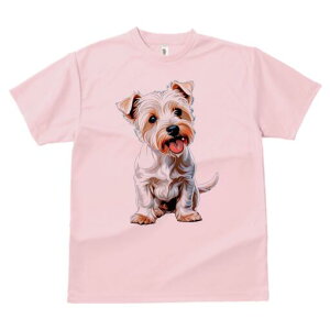 EGXgnChzCgeA TVc fB[X t@  t  vg JWA 킢 lԗp h ̃fUC ʔ TVc EGXgnChzC