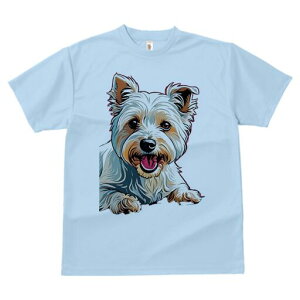 EGXgnChzCgeA TVc fB[X t@  t  vg JWA 킢 lԗp h ̃fUC ʔ EGXgnChzCgeA