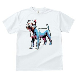 EGXgnChzCgeA TVc fB[X t@  t  vg JWA 킢 lԗp h ̃fUC ʔ EGXgnChzCgeA