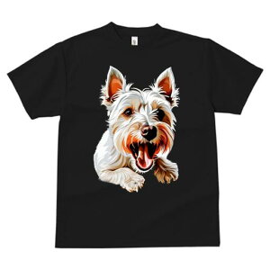 EGXgnChzCgeA TVc Y LbY t@  t  vg JWA 킢 lԗp h ̃fUC ʔ  EGXgnChzCg