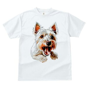 EGXgnChzCgeA TVc fB[X t@  t  vg JWA 킢 lԗp h ̃fUC ʔ  EGXgnChzCge