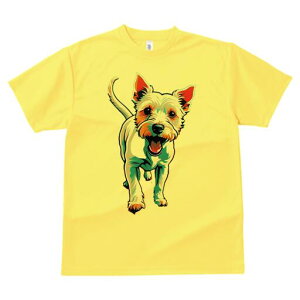 EGXgnChzCgeA TVc fB[X t@  t  vg JWA 킢 lԗp h ̃fUC ʔ EGXgnChzCgeA