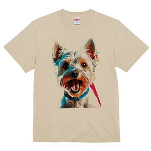 EGXgnChzCgeA TVc fB[X t@  t  vg JWA 킢 lԗp h ̃fUC ʔ  EGXgnChzCge