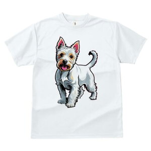 EGXgnChzCgeA TVc fB[X t@  t  vg JWA 킢 lԗp h ̃fUC ʔ EGXgnChzCgeA