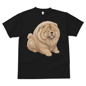 `E`E TVc fB[X t@  t  vg JWA 킢 lԗp h ̃fUC ʔ ӂӂ `E`E 킢  ʂ