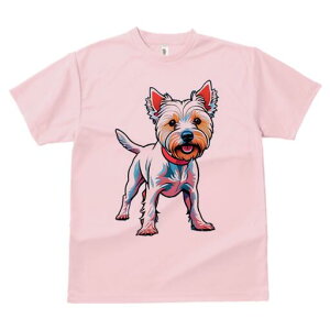 EGXgnChzCgeA TVc fB[X t@  t  vg JWA 킢 lԗp h ̃fUC ʔ  EGXgnChzCge