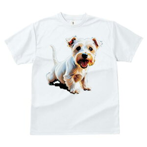 EGXgnChzCgeA TVc fB[X t@  t  vg JWA 킢 lԗp h ̃fUC ʔ ybg EGXgnChzCg