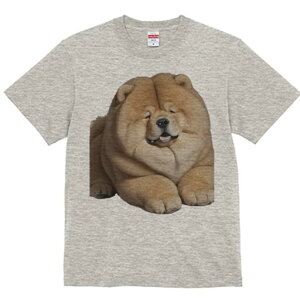 `E`E TVc fB[X t@  t  vg JWA 킢 lԗp h ̃fUC ʔ ӂӂ `E`E 킢  ʂ