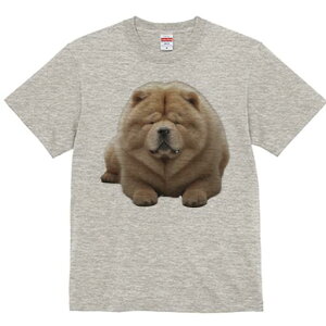 `E`E TVc fB[X t@  t  vg JWA 킢 lԗp h ̃fUC ʔ ӂӂ `E`E 킢  ʂ