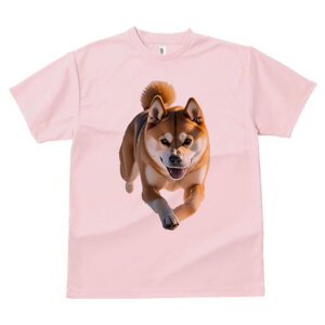 Č TVc fB[X t@  t  vg JWA 킢 lԗp h ̃fUC ʔ Č