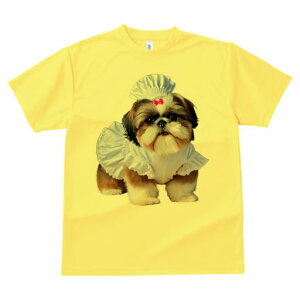 V[Y[ TVc fB[X t@  t  vg JWA 킢 lԗp h ̃fUC ʔ RbNX V[Y[ s[X sÑ{