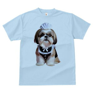 V[Y[ TVc fB[X t@  t  vg JWA 킢 lԗp h ̃fUC ʔ Ch V[Y[ Xq