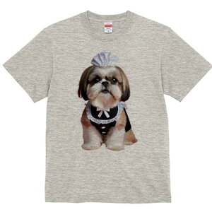 V[Y[ TVc fB[X t@  t  vg JWA 킢 lԗp h ̃fUC ʔ Ch V[Y[ Xq