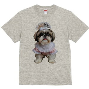 V[Y[ TVc fB[X t@  t  vg JWA 킢 lԗp h ̃fUC ʔ [X V[Y[ { hX