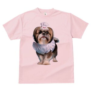 V[Y[ TVc Y LbY t@  t  vg JWA 킢 lԗp h ̃fUC ʔ RbNX V[Y[ Gv