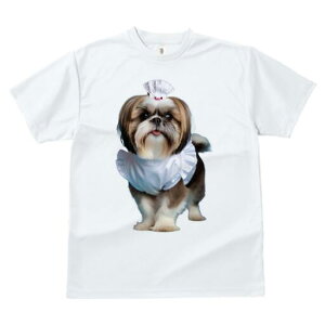 V[Y[ TVc fB[X t@  t  vg JWA 킢 lԗp h ̃fUC ʔ RbNX V[Y[ Gv