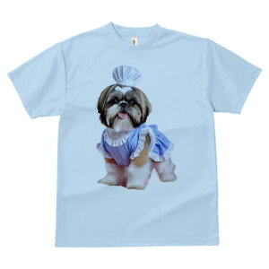 V[Y[ TVc fB[X t@  t  vg JWA 킢 lԗp h ̃fUC ʔ RbNX V[Y[ Gv