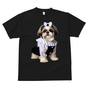 V[Y[ TVc fB[X t@  t  vg JWA 킢 lԗp h ̃fUC ʔ { V[Y[ 