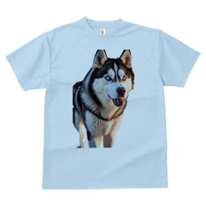 Č TVc fB[X t@  t  vg JWA 킢 lԗp h ̃fUC ʔ Č