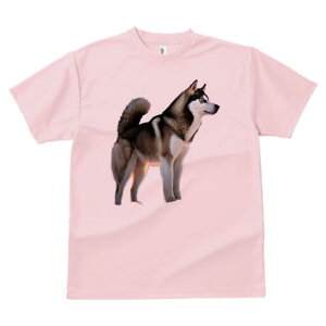 nXL[ TVc fB[X t@  t  vg JWA 킢 lԗp h ̃fUC ʔ [Ă nXL[  i R