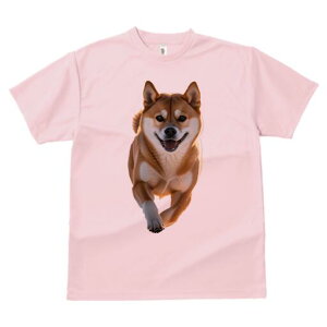 Č TVc fB[X t@  t  vg JWA 킢 lԗp h ̃fUC ʔ Ί Č z