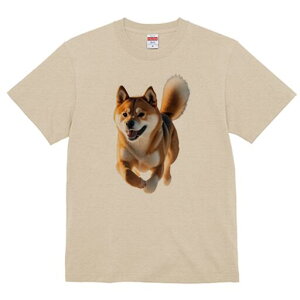 Č TVc fB[X t@  t  vg JWA 킢 lԗp h ̃fUC ʔ Č