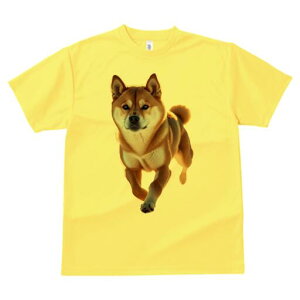 Č TVc fB[X t@  t  vg JWA 킢 lԗp h ̃fUC ʔ Č