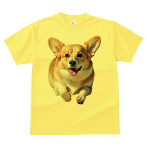 R[M[ TVc fB[X t@  t  vg JWA 킢 lԗp h ̃fUC ʔ Ί R[M[ 킢 